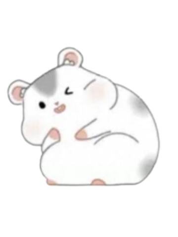 开心鼠