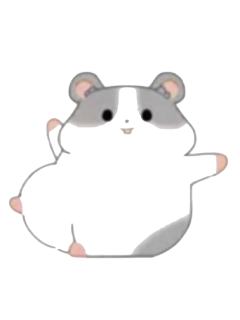 玩耍鼠