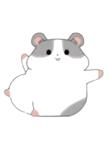 玩耍鼠