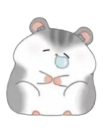 睡觉鼠