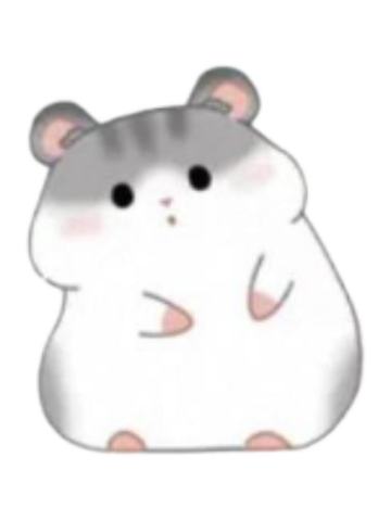 好奇鼠