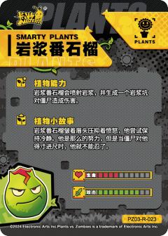 岩浆番石榴-资料图