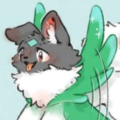壮壮