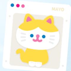 小猫MAYO