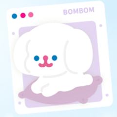 小白BOMBOM