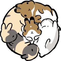 提摩西小队-封面