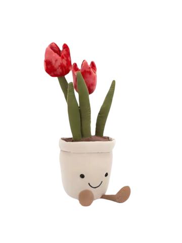 Tulip
