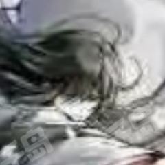 灰王