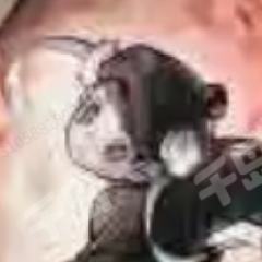 丑角