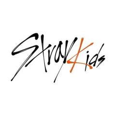 Stray Kids-封面