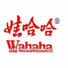 娃哈哈