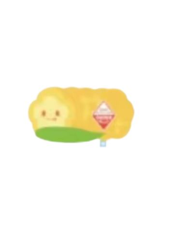 收纳包有机菜市C