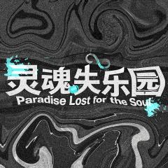灵魂失乐园-封面