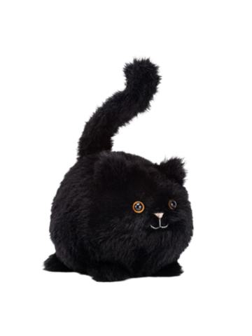 卡不朵黑色小猫