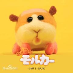马铃薯