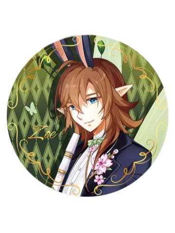 佐伊-13周年徽章