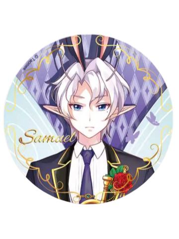 赛缪尔-13周年徽章